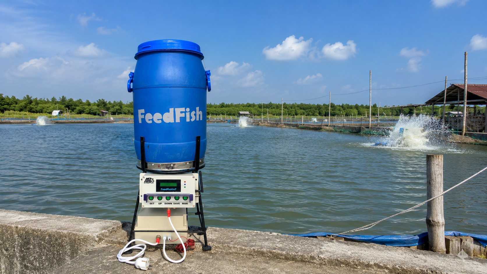 Automatic Fish Feeder